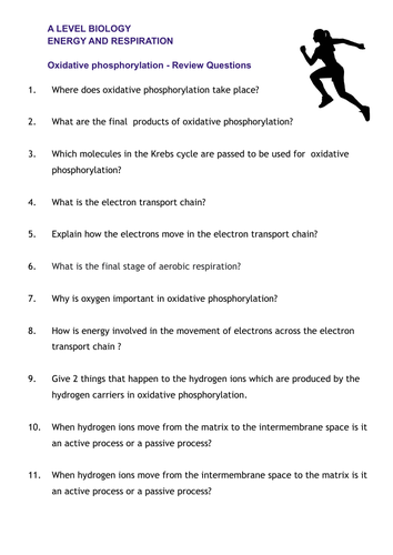 Respiration (Oxidative Phosphorylation) Revision Questions  Only-  - A level Biology