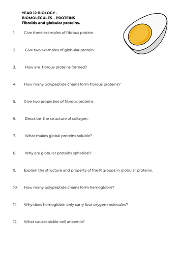 Great Protein structure questions - Biomolecules - A level Biology