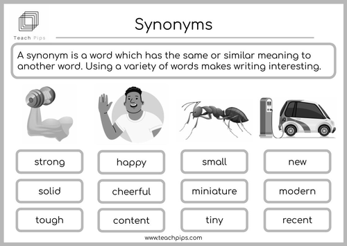 NEW-Synonyms