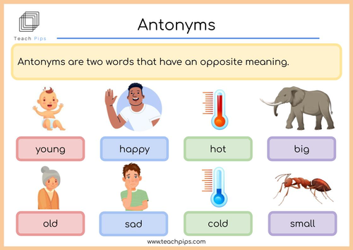 NEW- Antonyms