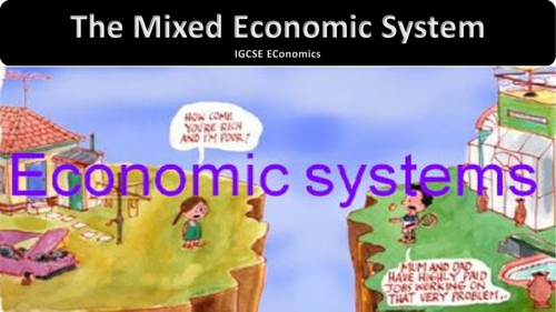 The Mixed Economic System