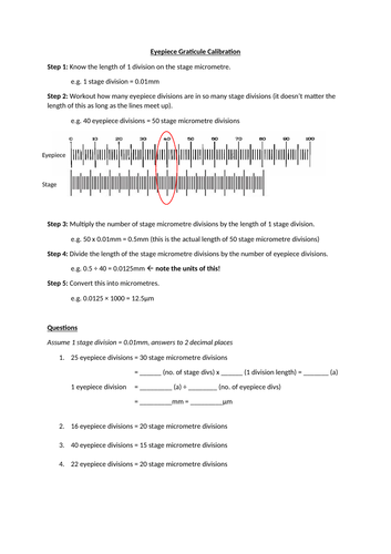 NEW Eyepiece Graticule Calibration Questions A Level Biology OCR AQA