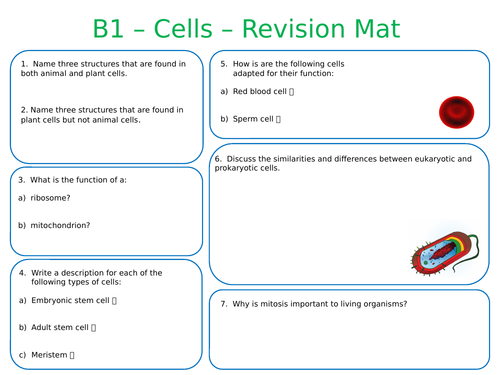 NEW AQA A-Level Biology 'Cells' - Revision Placemat