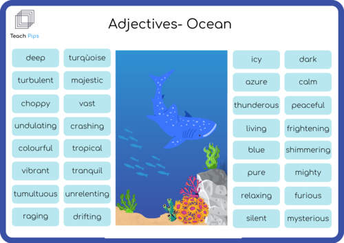 Adjectives- Ocean