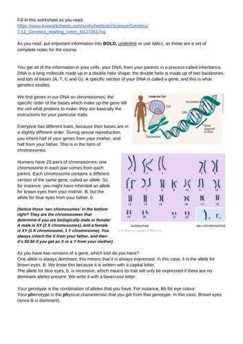 Genetics Reading Task with online worksheet