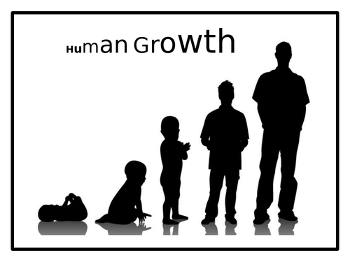 human growth clipart