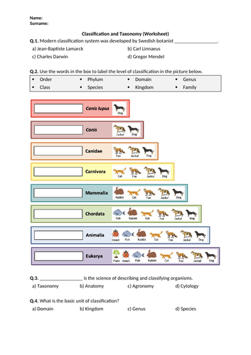 Taxonomy Worksheet 1 Answer Key