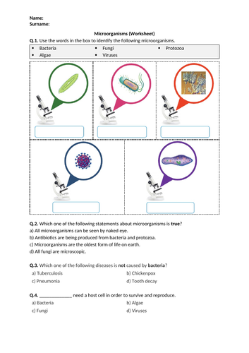 microorganisms-worksheet-printable-and-distance-learning-teaching