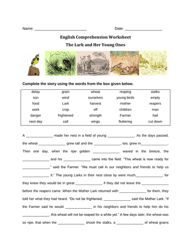 Reading Comprehension Worksheet " The Lark and the Young Ones" with Answer Key