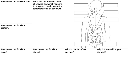 KS3 - Digestion Knowledge Organiser