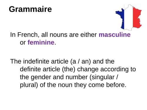 Dynamo 1 - Module 1 - Voici ma salle de class - Page 13 - Grammar - Nouns
