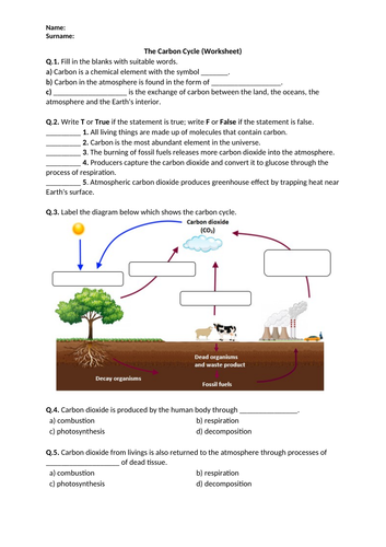 The Carbon Cycle Worksheet Printable And Distance Learning Teaching Resources