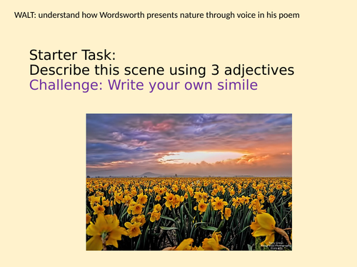 Lessons 8 and 9 Daffodils with Assessment