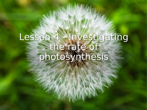 KS3 Science | 3.9.4 Photosynthesis - Lesson 4/5 Investing the rate of ...