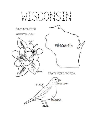 WISCONSIN STATE BIRD AND FLOWER COLORING PAGE