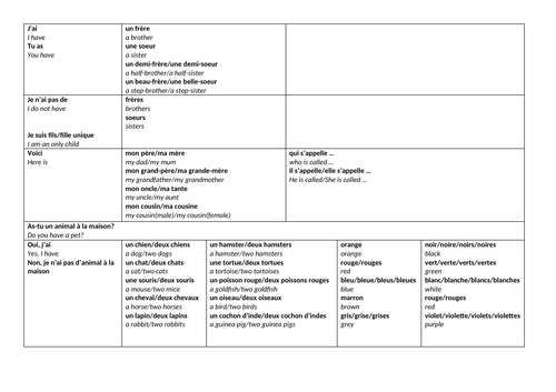 French Family and Pets sentence builder