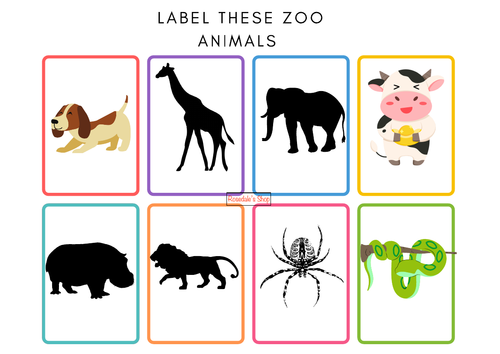 Fun FREE Flashcards: | Label these ANIMALS |Print the NEW POSTER of More Zoo Vocab! | Activity sheet