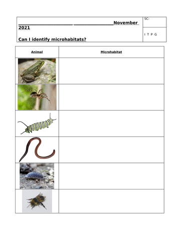 Microhabitats Differentiated Worksheets Y2