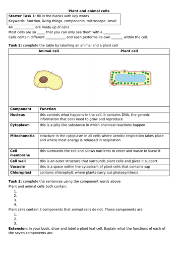 Plant and animal cell worksheet and keyword prompt