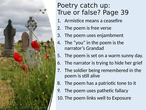 Poppies Jane Weir revision