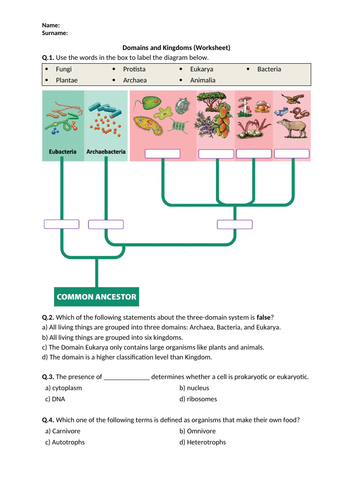 Domains and Kingdoms - Worksheet | Printable and Distance Learning