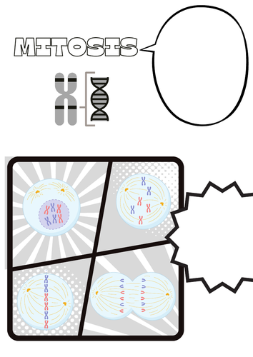 Mitosis doodle notes