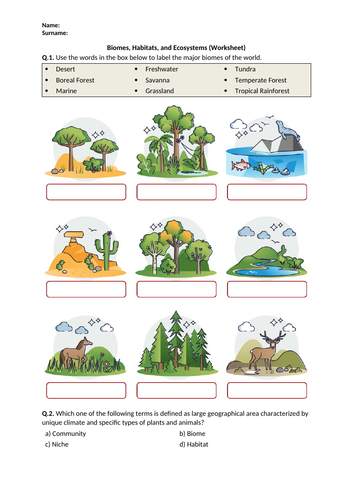 Biomes, Habitats, and Ecosystems - Worksheet | Printable and Distance ...