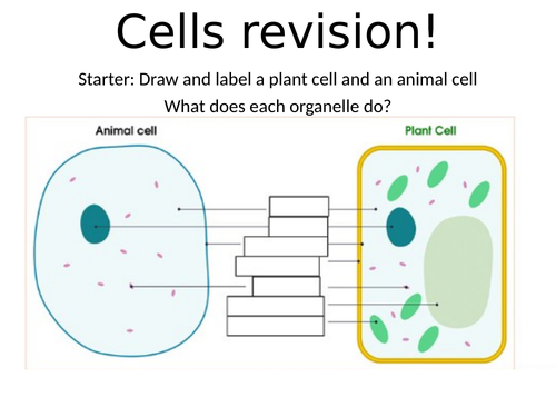 Aqa B1 Cell Biology Revision Lesson Teaching Resources 7782