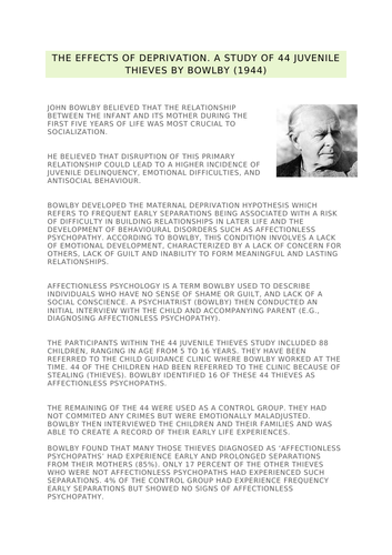 Bowlby 44 thieves information sheet