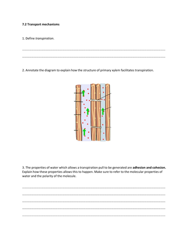 AS Biology-Topic 7-Transport mechanisms- Worksheet and Mark scheme