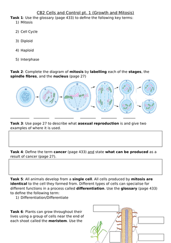 CB2 Cells and Control Revision Sheet, Edexcel Combined Science: Biology Paper 1