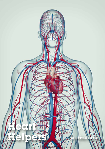 Heart Helpers