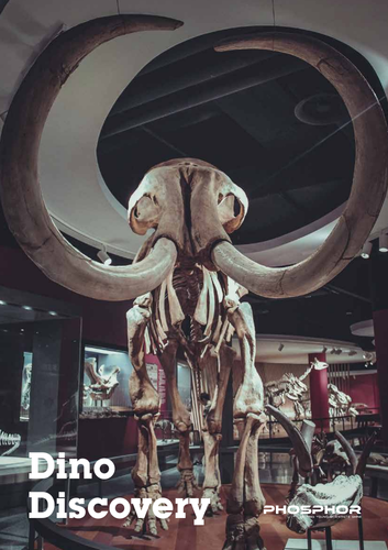 Dino Discovery
