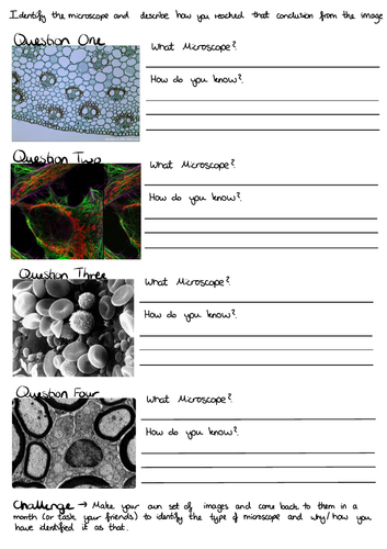 A Level Biology Module 2