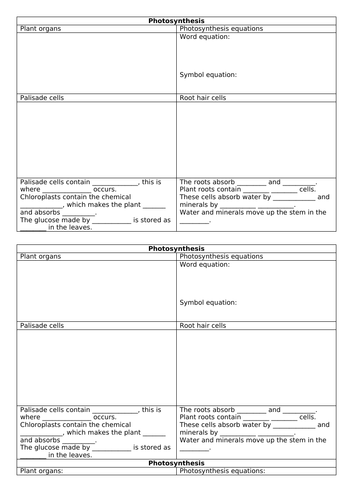 Photosynthesis revision knowledge organiser key stage 3
