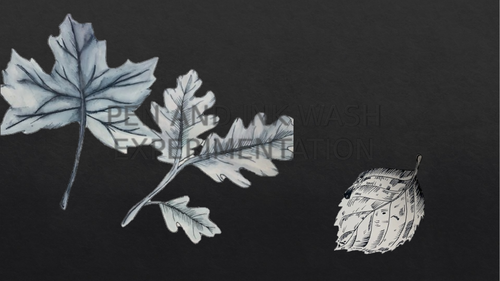 GCSE ART Pen and Ink wash experimentation