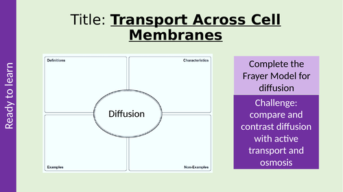 Simple and Facilitated Diffusion AQA A Level Biology - Transport Across Membranes