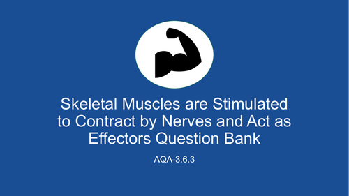 AQA A Level Biology- Skeletal Muscles are Stimulated to Contract by Nerves Question Bank (3.6.3)