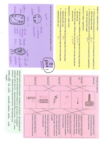 AQA B1 revision sheets
