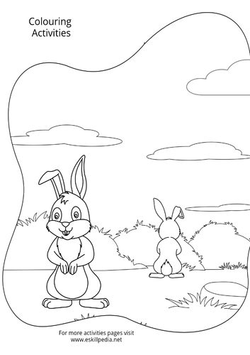 Animals Front and Back Coloring Activities