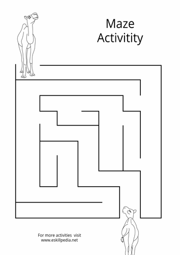 Maze Activities