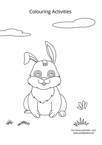 Baby Animals Coloring Activities