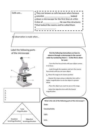 Magnification Worksheet KS3 introduction to Magnification