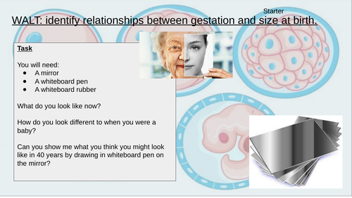 Year 5 Science Animals Including Humans Gestation lesson