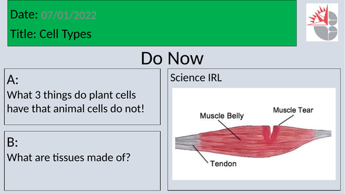 AQA KS4 - Cells Recap