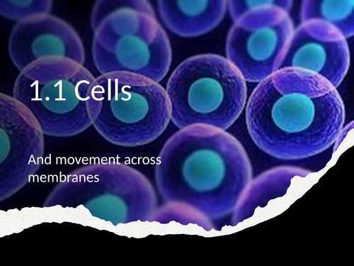 WJEC Cells and movement across cell membranes