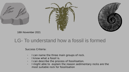 Fossil formation  PPt and worksheet