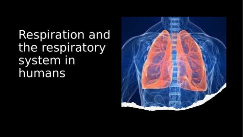 WJEC Respiration and the respiratory system in humans