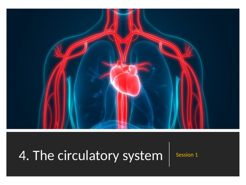 WJEC The circulatory system in humans