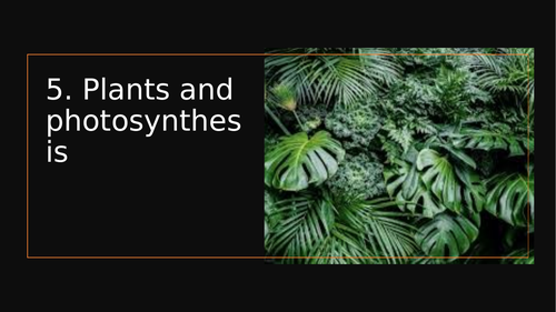 WJEC Plants and photosynthesis